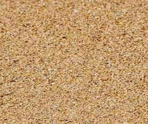 Fairgreen Sod Farms Sand